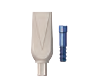 sky uni.fit scan abutment ( intraoral -  Extraoral ) 